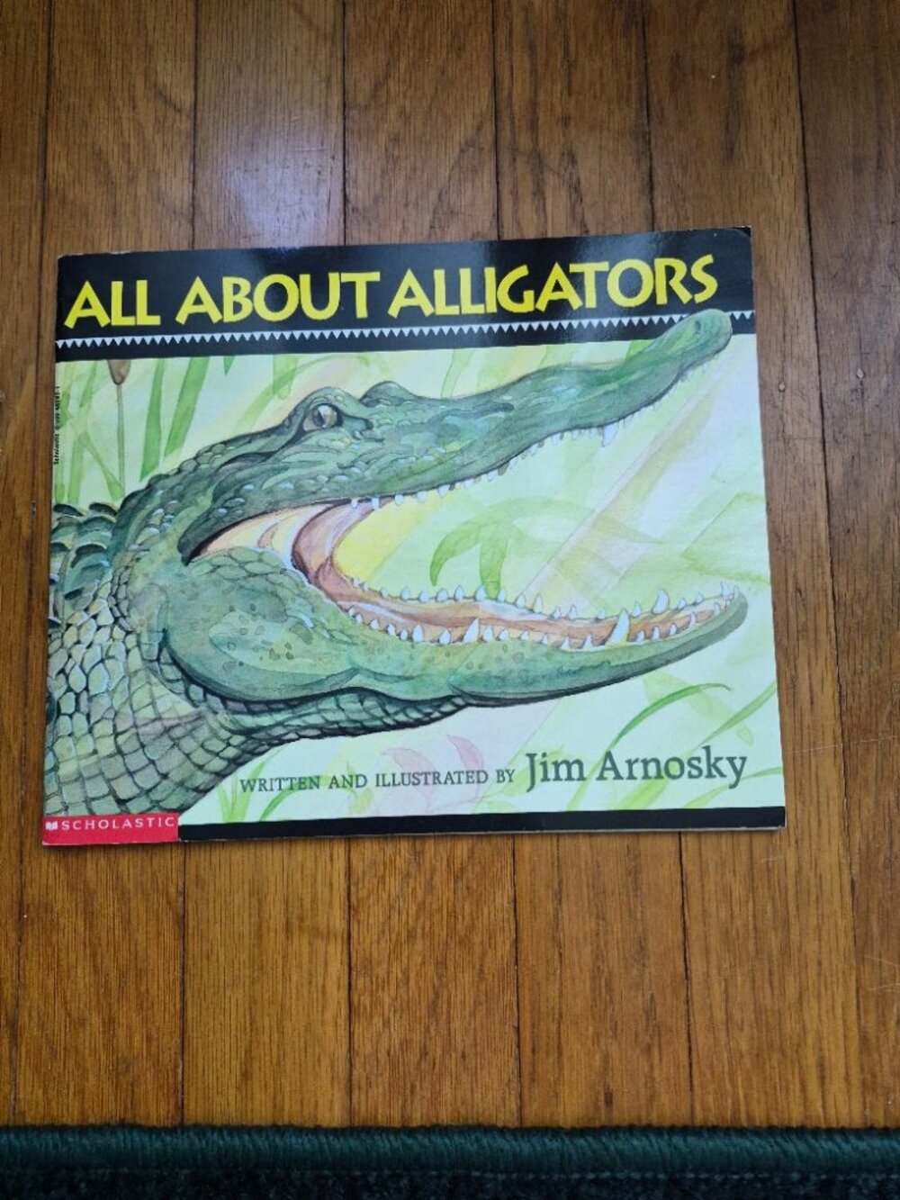 All About Alligators by Jim Arnosky Children's Nonfiction Book